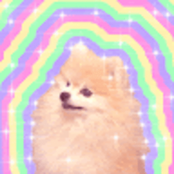 candy_fox9284
